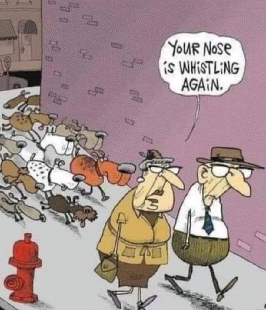 Cartoon of two elderly people walking with a pack of dogs behind them, one person saying 'Your nose is whistling again.'