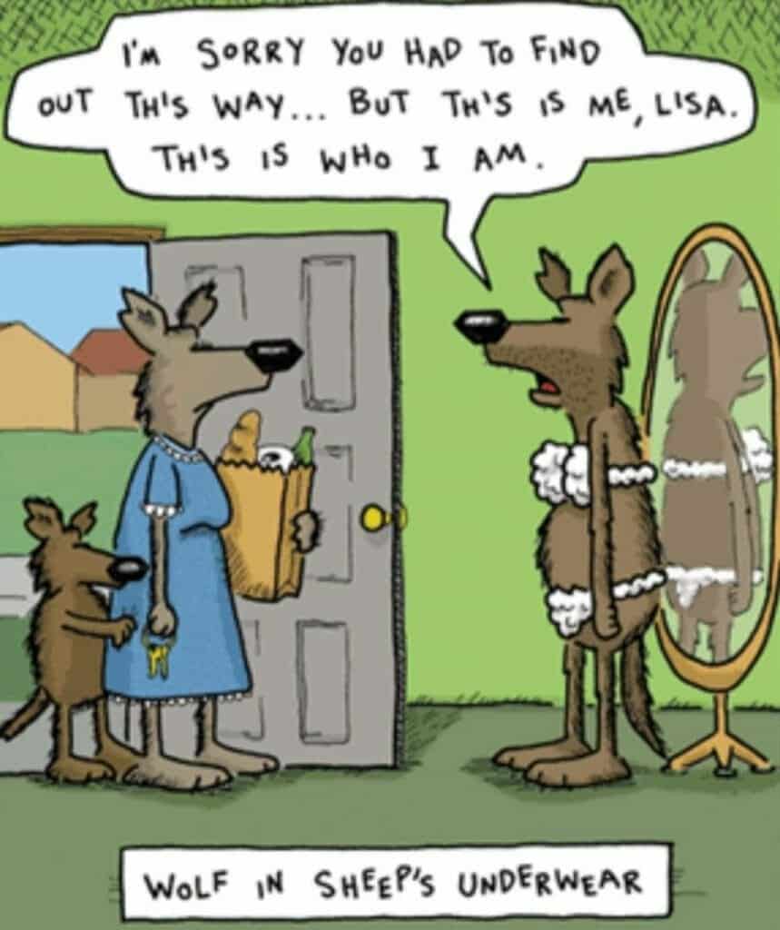 Cartoon of a wolf standing in front of a mirror wearing sheep's underwear, speaking to another wolf holding groceries and a young wolf behind them, at a doorway.
