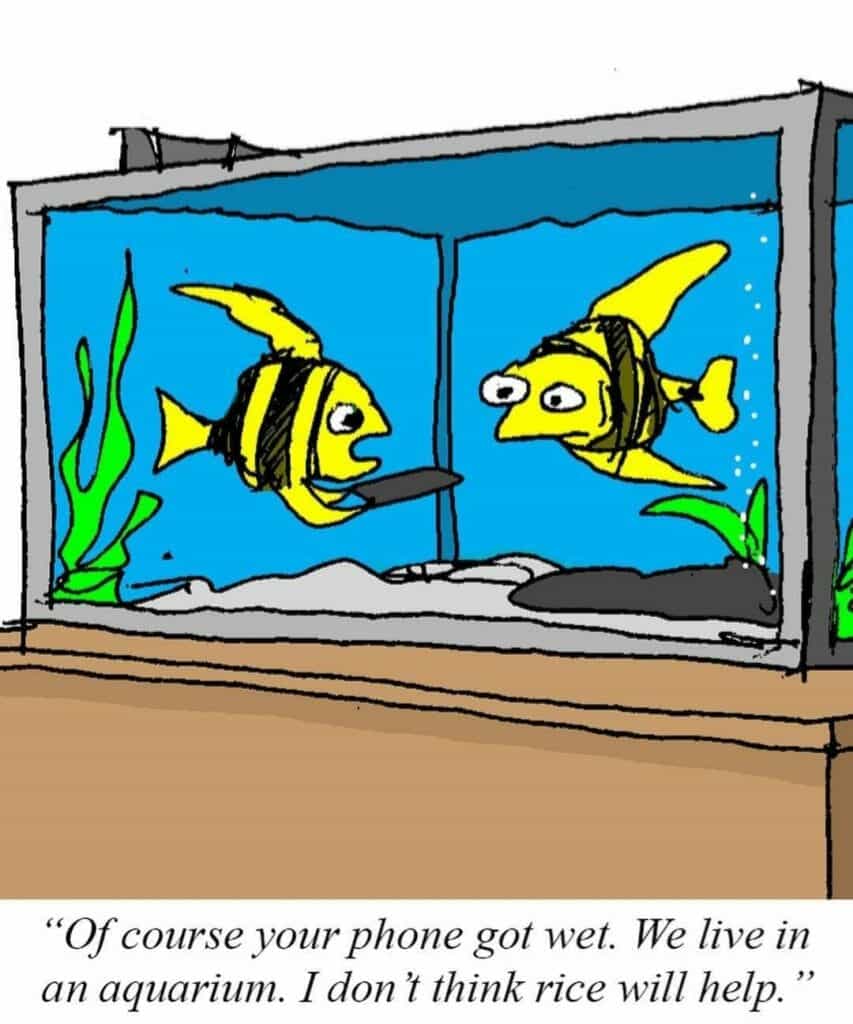 Cartoon of two fish in an aquarium, one holding a wet phone talking to the other.