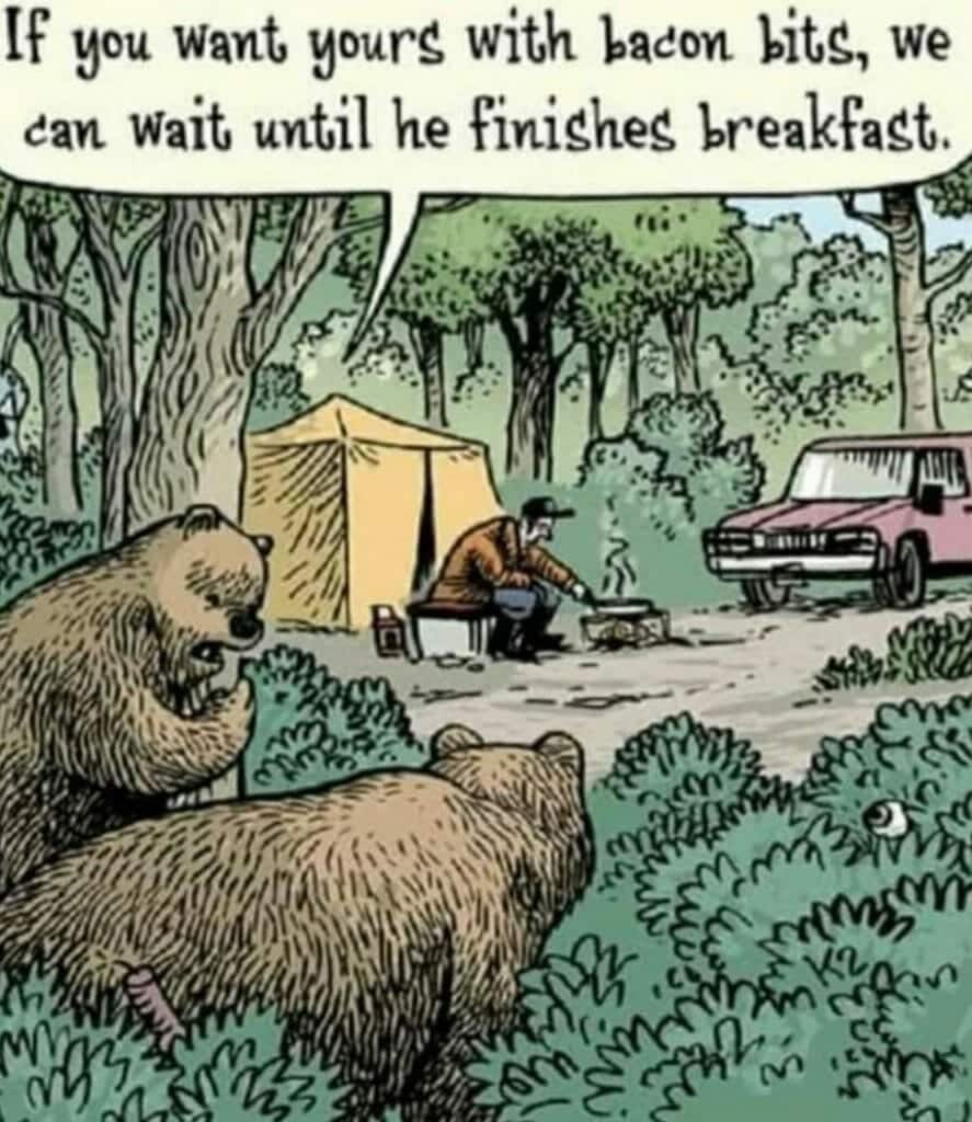 Cartoon showing two bears hiding in bushes near a man cooking breakfast next to a tent and car in a forest.