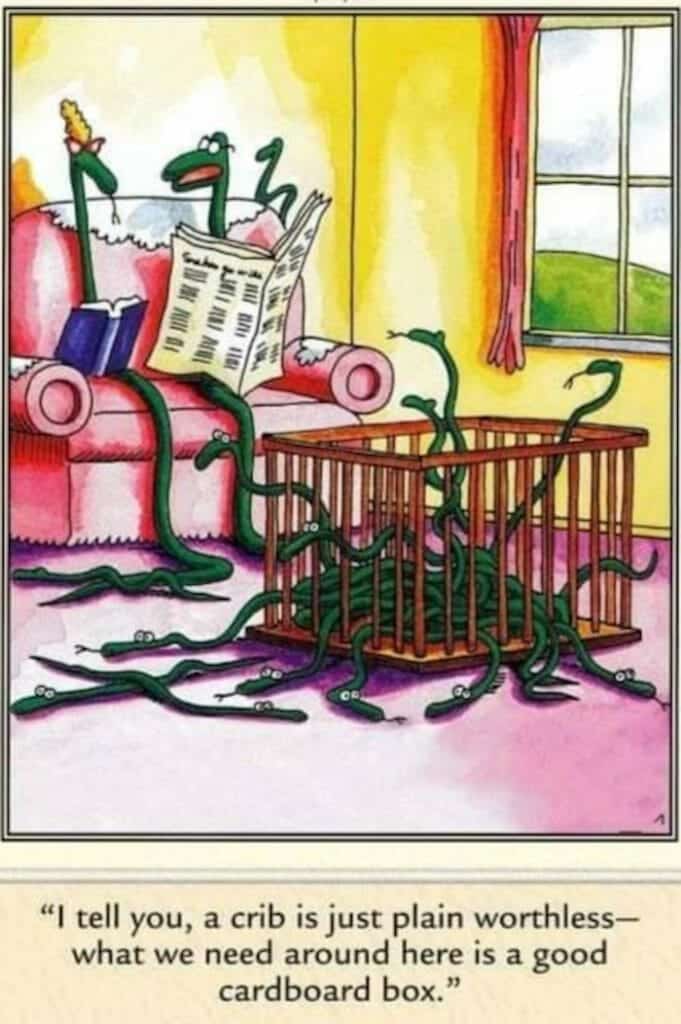 Cartoon of snake parents trying to keep their many snake babies in a wooden crib, with some babies escaping.