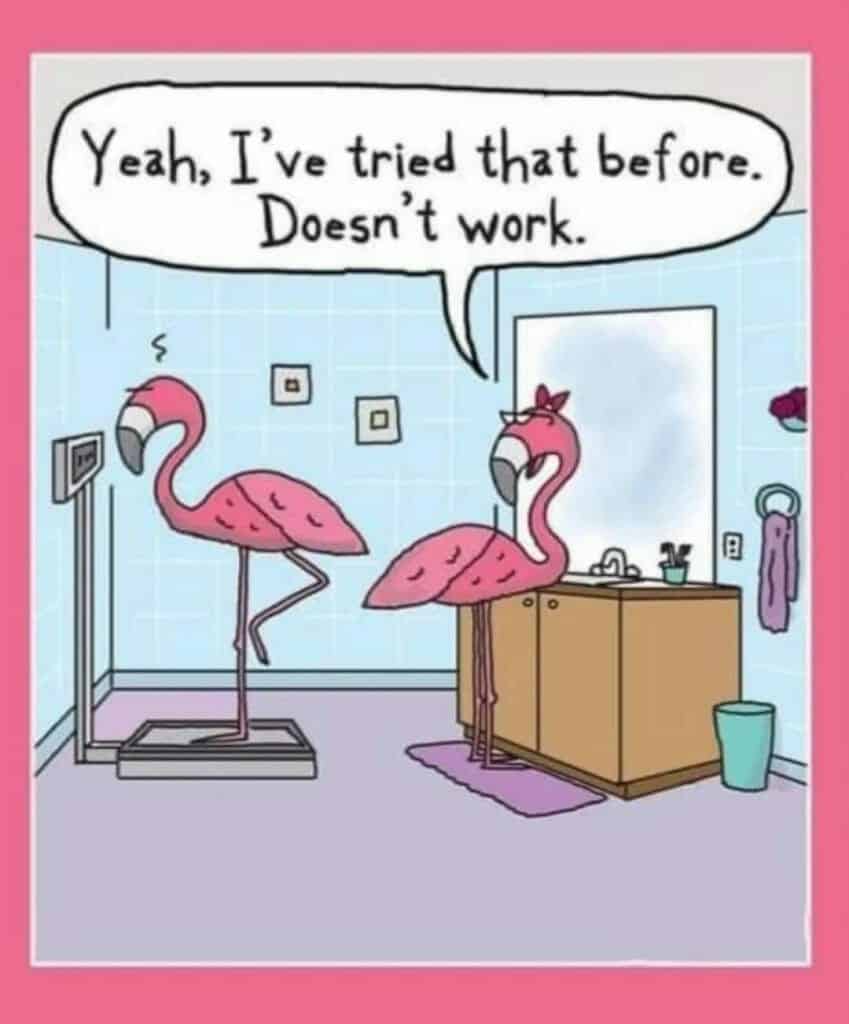 Cartoon of two flamingos in a bathroom; one stands on a scale while the other leans on a sink saying, 'Yeah, I've tried that before. Doesn't work.'