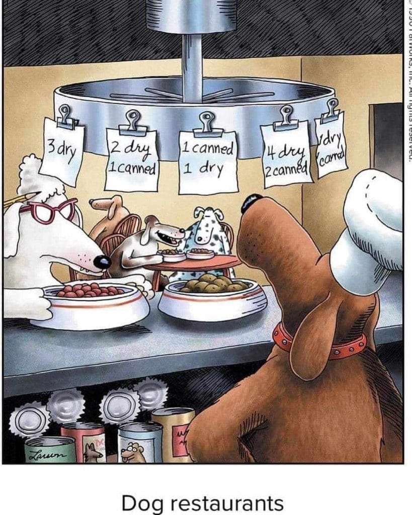 Dogs ordering meals at a restaurant counter with signs showing different combinations of dry and canned food.