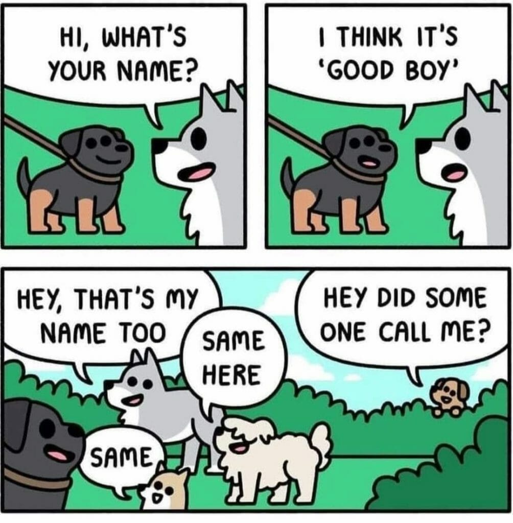 Comic with dogs introducing themselves as 'Good Boy' and multiple dogs responding.