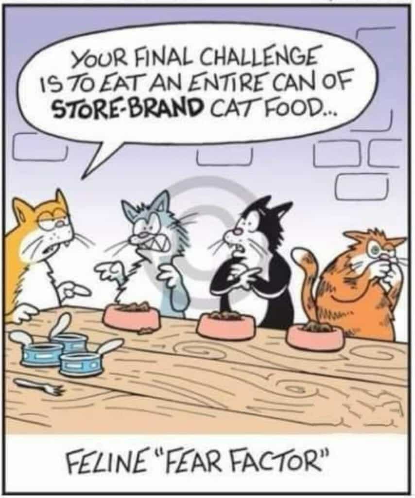 Comic strip showing four cats sitting at a table with cat food bowls. The challenge is to eat a can of store-brand cat food.