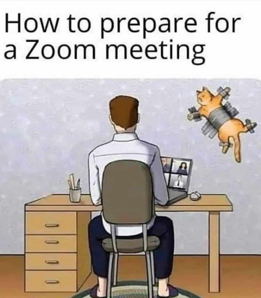 Cartoon of a person sitting at a desk on a computer for a Zoom meeting with a cat duct-taped to the wall behind them.