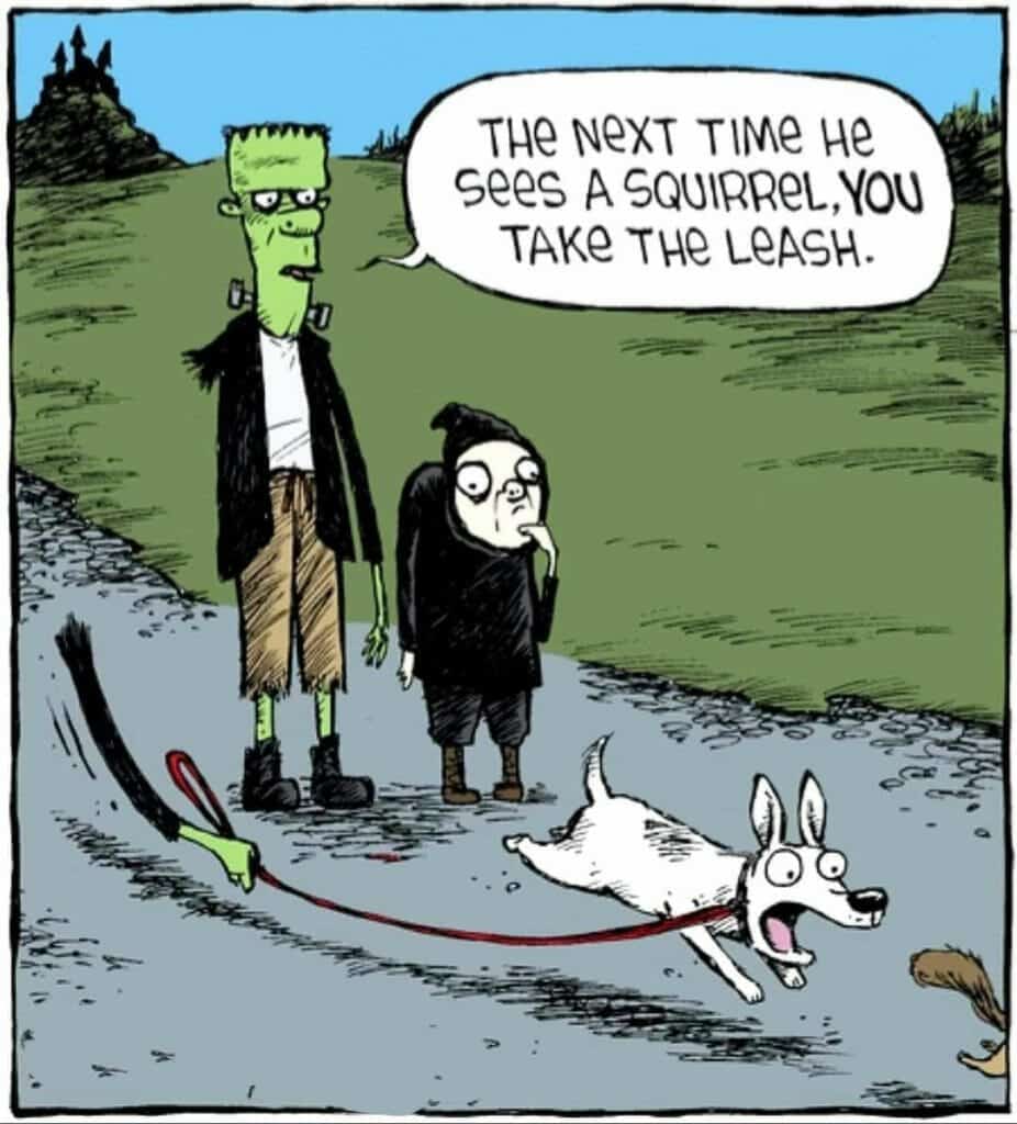 Cartoon of Frankenstein and a grim reaper figure standing beside a dog running after a squirrel with an invisible leash.