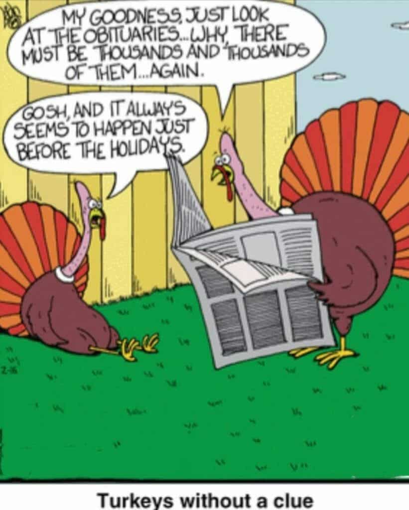 Two cartoon turkeys talking, one reading a newspaper with obituaries