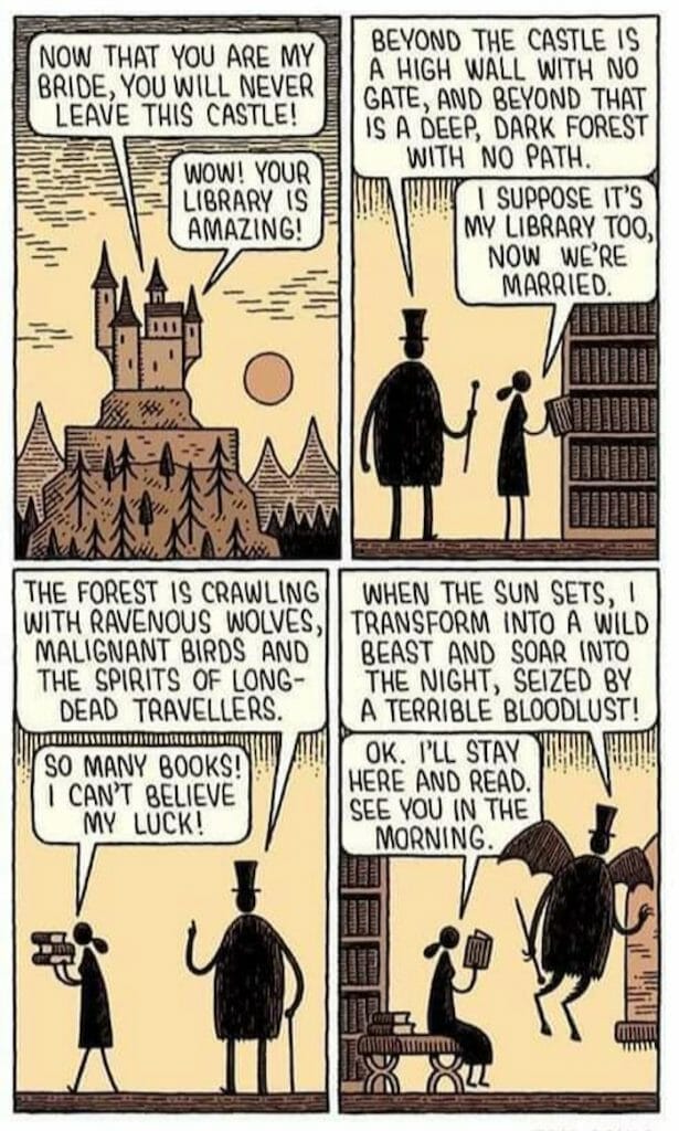 Comic strip featuring a couple discussing life in a castle with a vast library and surrounding dangers including wolves and spirits, ending with one partner turning into a bat.