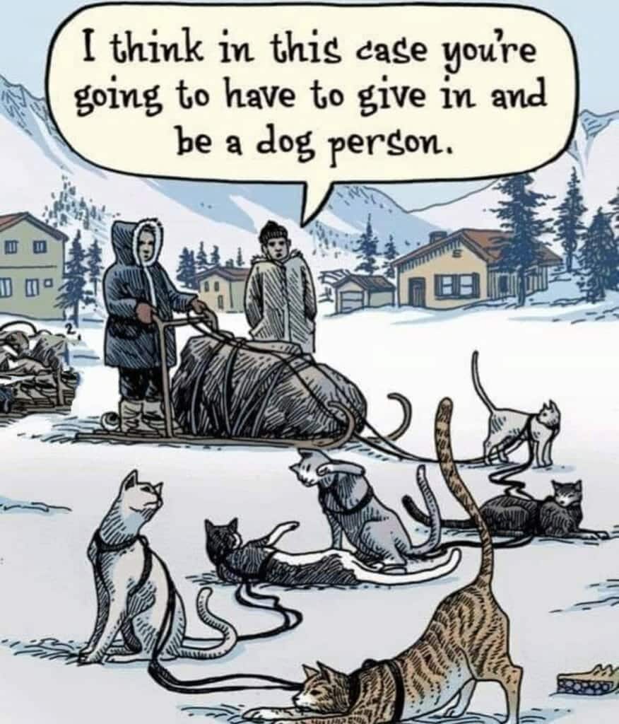 Cartoon of two people in winter with sleds pulled by cats, with a speech bubble saying one must become a dog person.