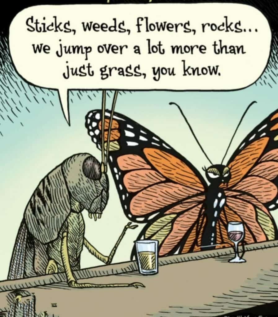 Cartoon of a grasshopper and butterfly sitting at a bar, the grasshopper speaking about obstacles.