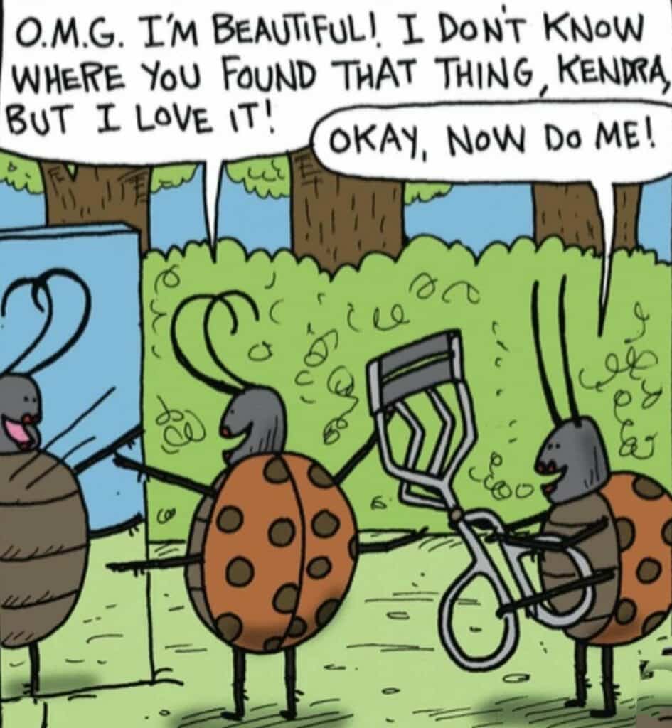 Two cartoon ladybugs, one looking in a mirror admiring itself, the other holding up an eyelash curler asking to be done next.