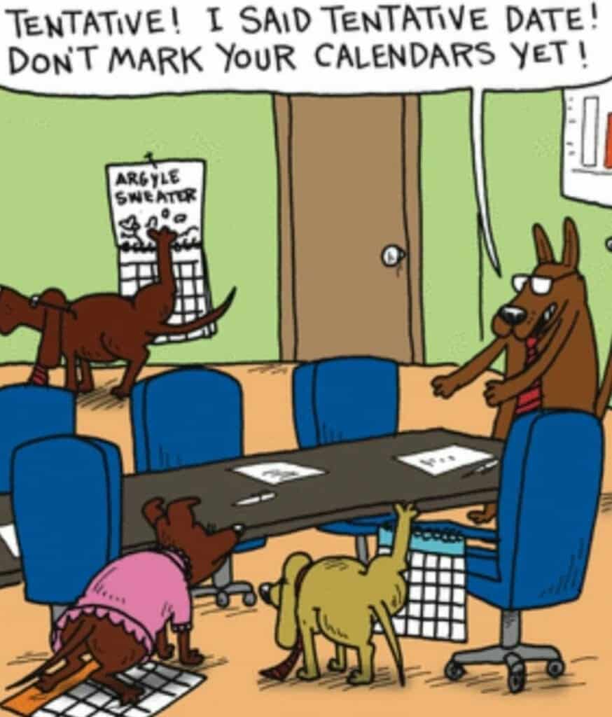 Cartoon of dogs in a meeting room, one dog pointing at a calendar marked 'Argyle Sweater' while another dog says not to mark the calendars yet because the date is tentative.