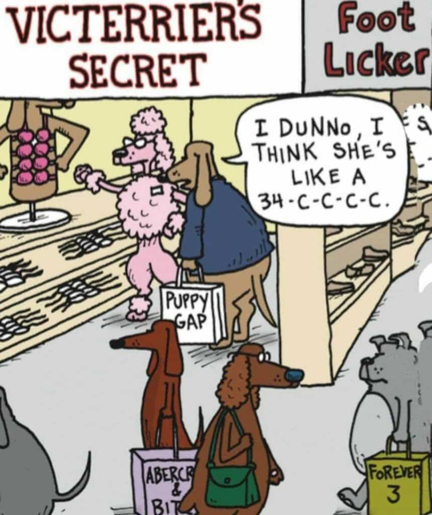 Cartoon dogs shopping for lingerie with one dog guessing another dog's bra size.