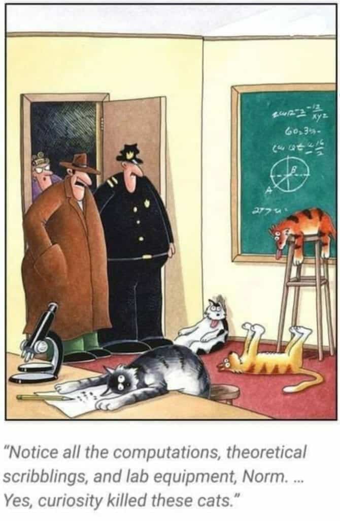 Cartoon of cats lying lifeless on the floor with scientists in the background, a chalkboard with equations, and lab equipment on the table.
