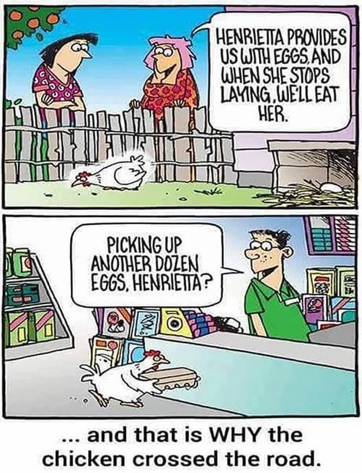 Why the chicken crossed the road