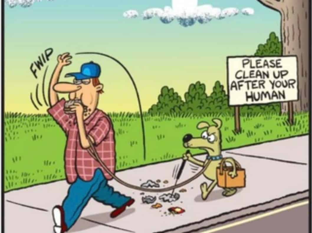clean up