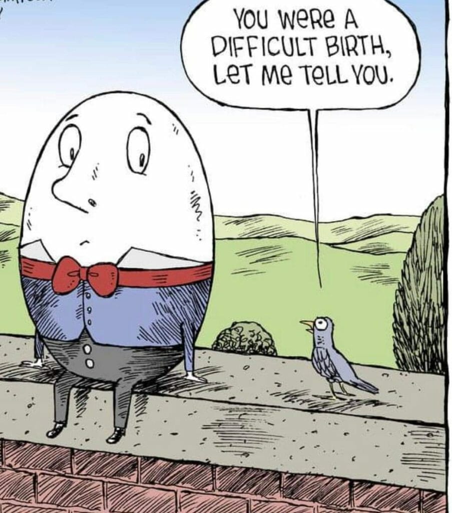Cartoon of Humpty Dumpty talking to a bird with the caption, 'You were a difficult birth, let me tell you.'