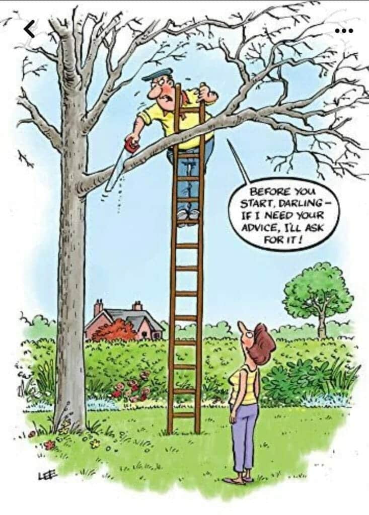 Cartoon of a man on a ladder sawing a tree branch with a woman watching below and a speech bubble saying 'Before you start, darling-if I need your advice, I'll ask for it!'
