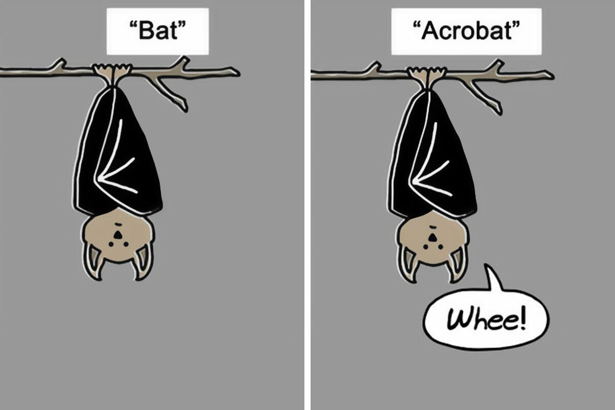 bat