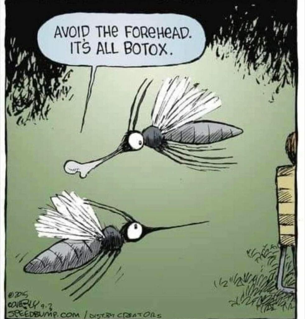 Cartoon of two mosquitoes, one has a bone for a forehead and says 'Avoid the forehead. It's all botox.'