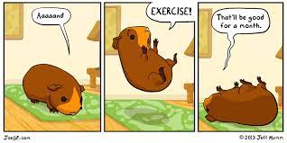 Cartoon of a guinea pig reluctantly exercising, rolling on its back, with a thought bubble saying exercise is good for a month.