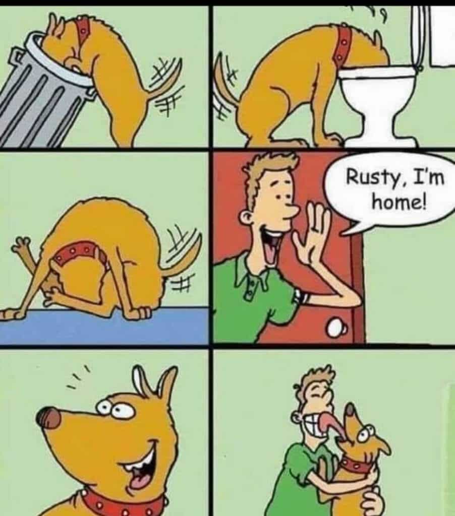 Comic strip showing a dog digging through a trash can and looking in a toilet, then reacting happily when its owner says he's home, followed by the owner hugging and licking the dog.