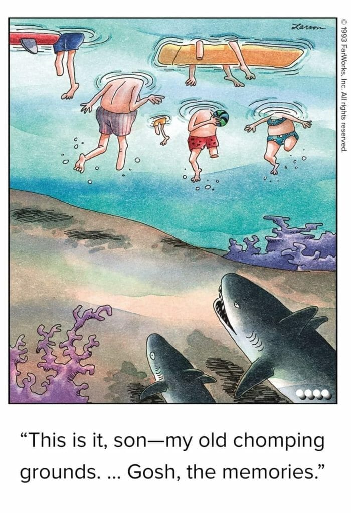Two sharks underwater looking up at swimmers, with one shark reminiscing about past times.