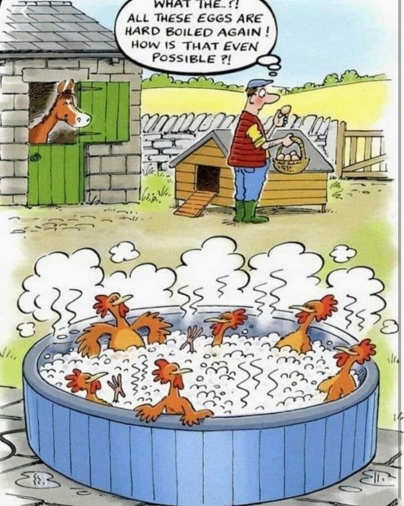 Cartoon of chickens relaxing in a steaming hot tub while a farmer wonders why all eggs are hard boiled.