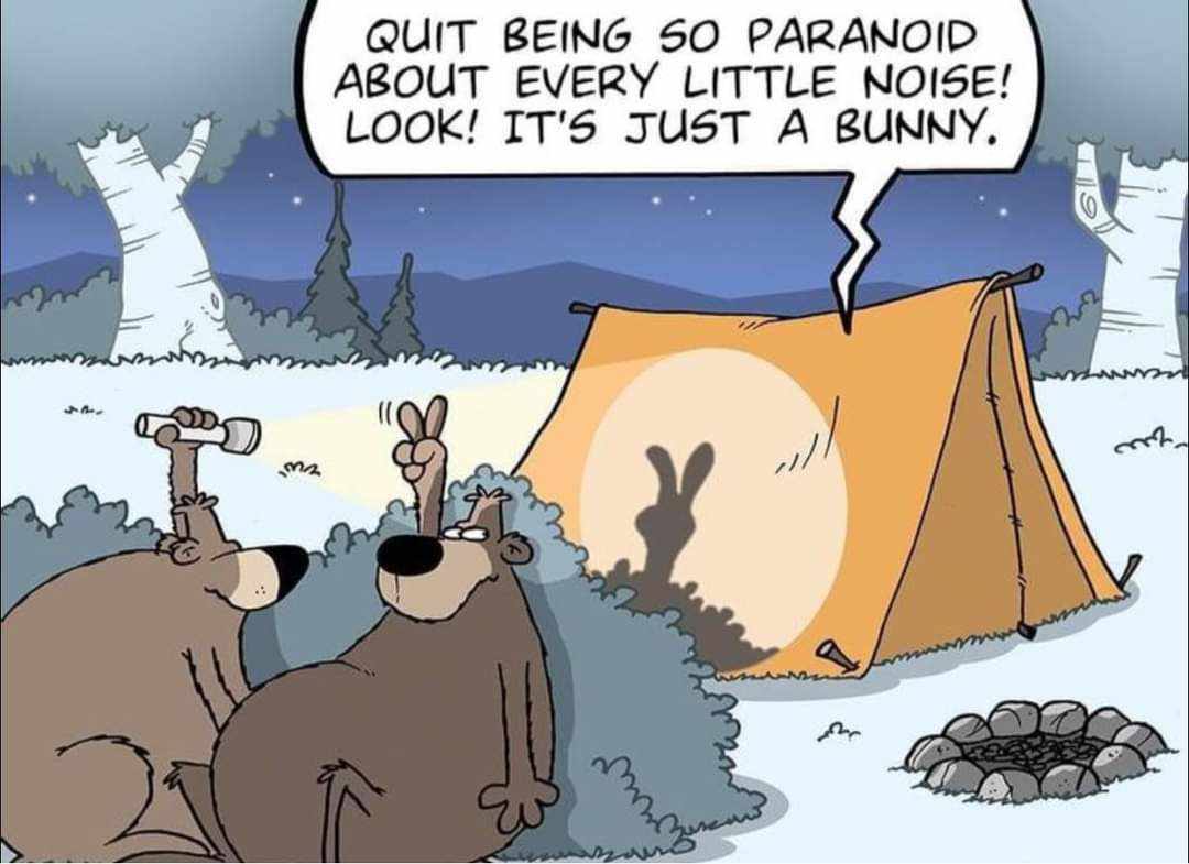 Two bears camping with a tent casting a shadow that looks like a bunny showing two fingers.