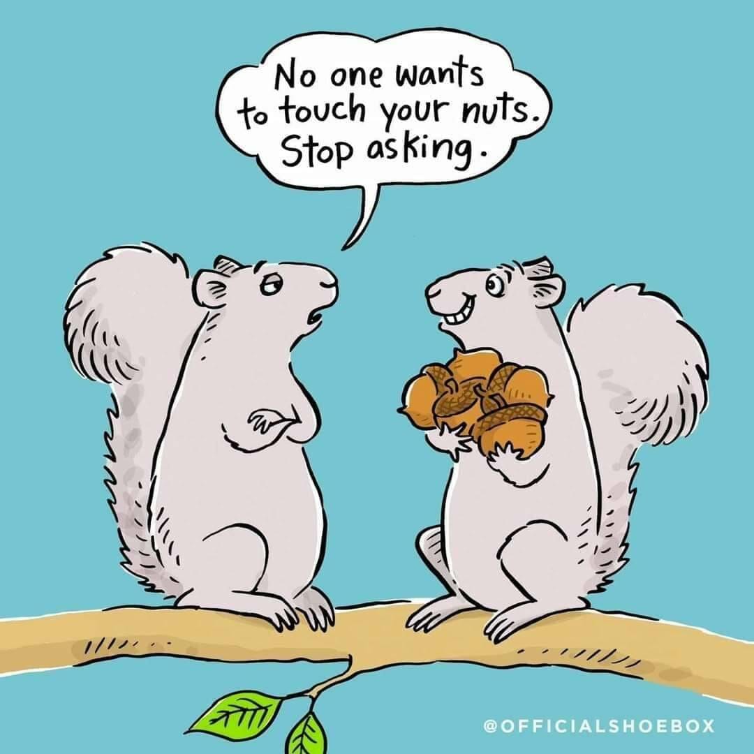 nuts