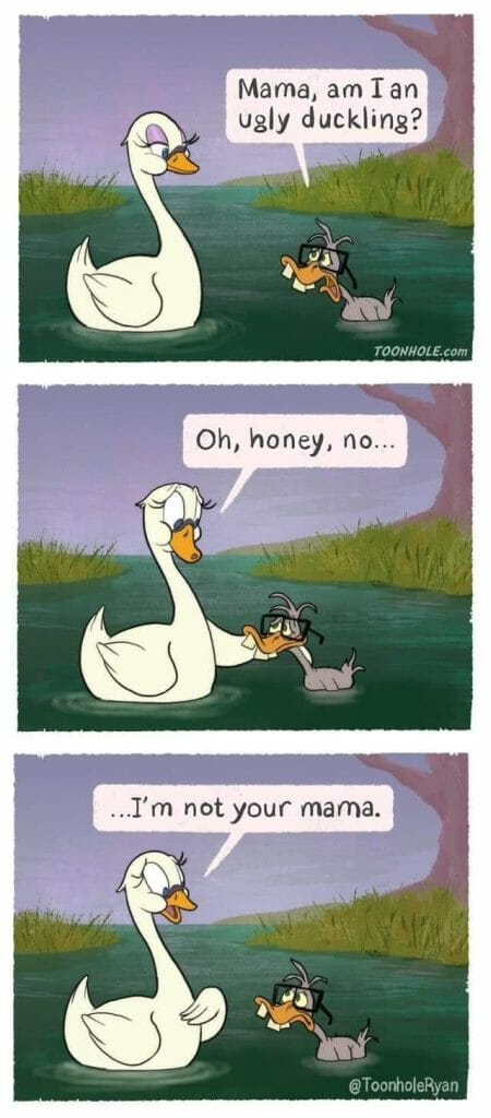 Cartoon of a normal white swan and a scruffy, nerdy duckling asking if it’s an ugly duckling, with the swan saying it’s not her mama.