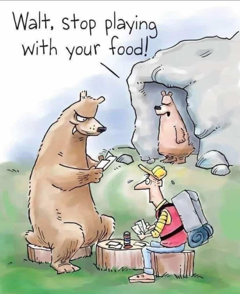 Cartoon of a bear and a man playing cards on tree stumps outside a bear cave, another bear watching from the cave.