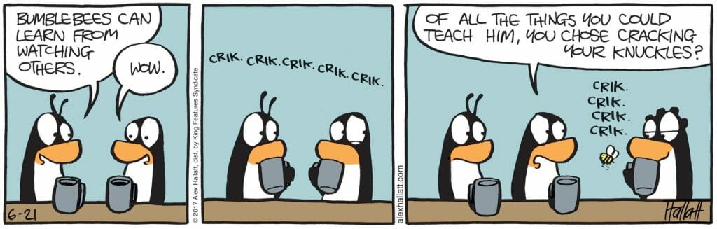 Two penguins sipping coffee with a bumblebee cracking its knuckles beside them in a comic strip.