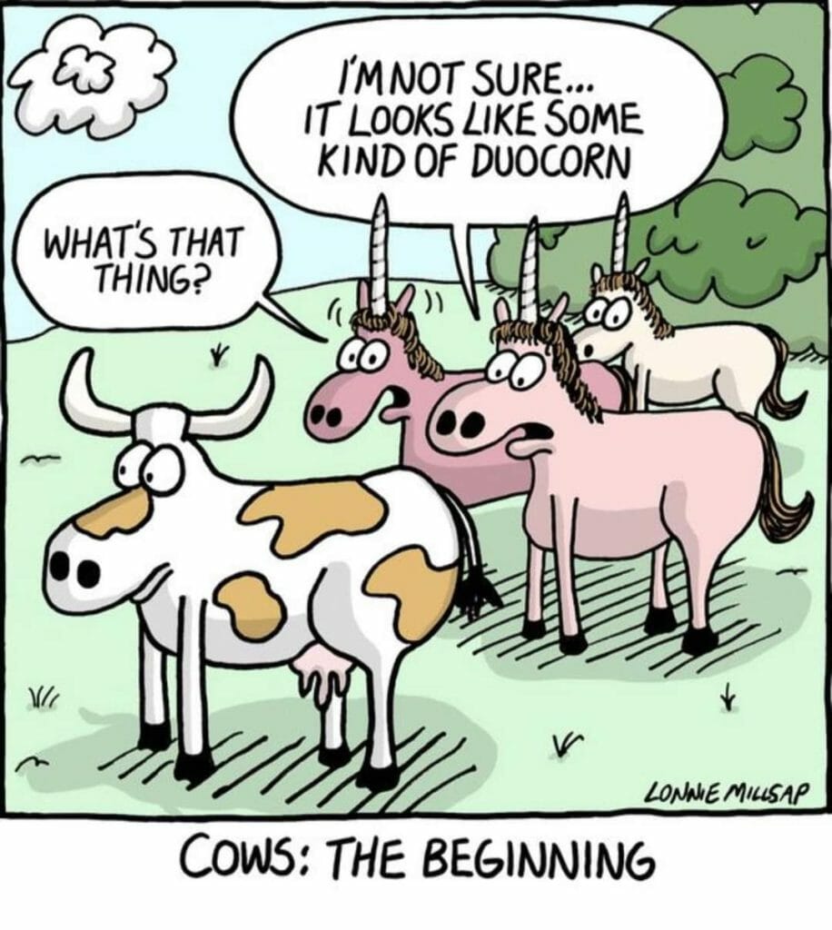 Cartoon of three pink unicorns looking confused at a cow; speech bubble says 'I'm not sure... it looks like some kind of duocorn' and cow asks 'What's that thing?'.