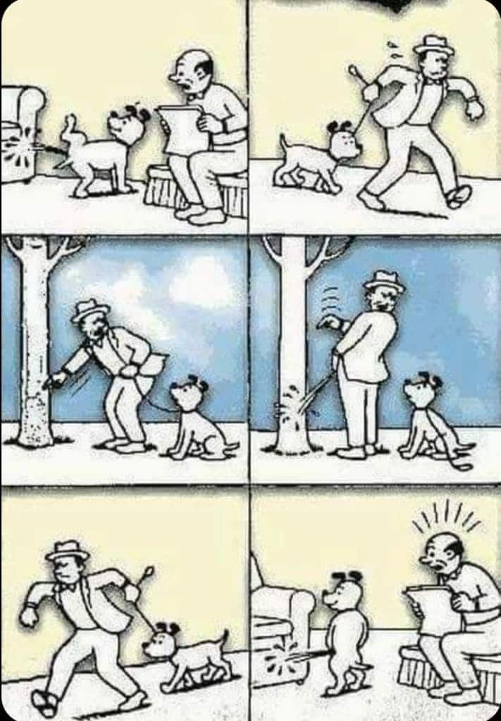 Comic strip showing a man reading, a dog peeing on the carpet, the man taking the dog for a walk, the man peeing on a tree, the dog pulling the leash, then peeing on the carpet again, surprising the man.