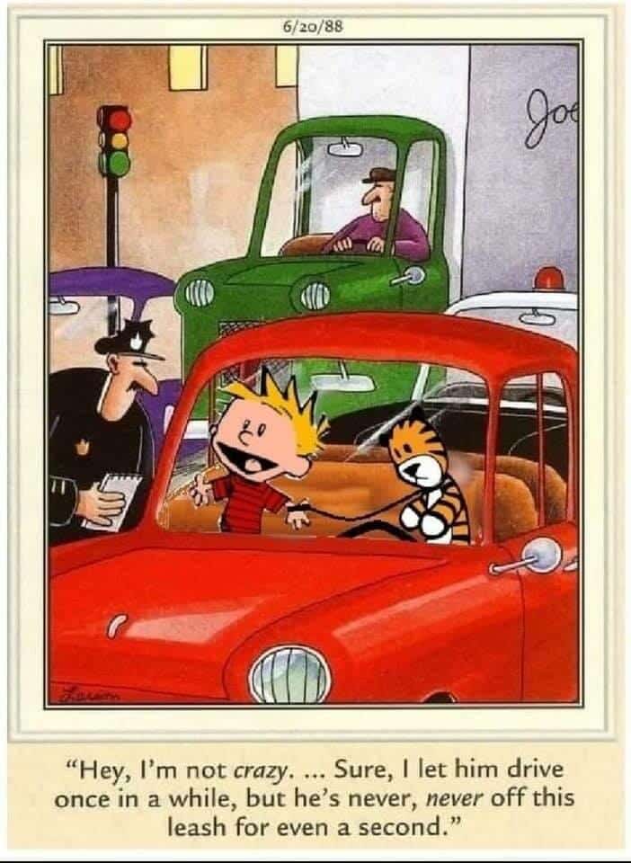 Calvin and Hobbes cartoon where Calvin tells a policeman Hobbes is never off his leash while driving a red car.