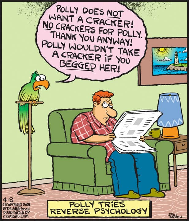 Cartoon of a man reading a newspaper with a parrot saying it does not want a cracker using reverse psychology.