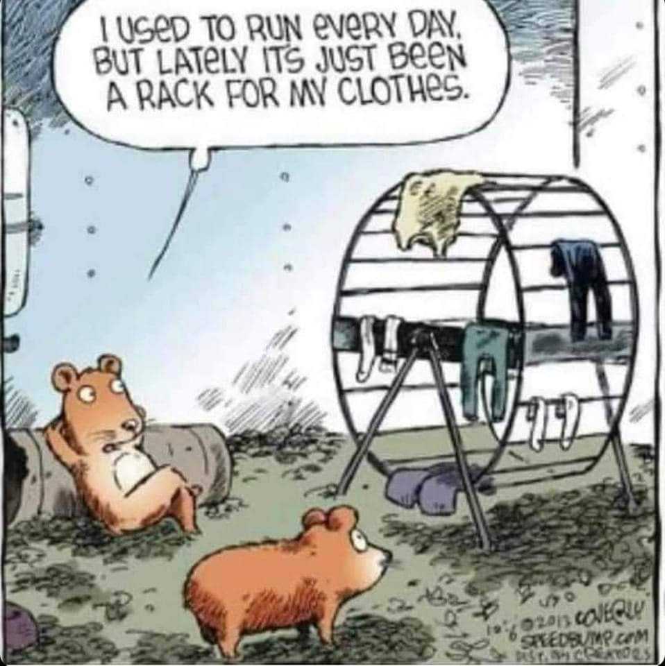 A cartoon showing two hamsters, one saying they used to run daily but now the wheel is just a clothes rack.