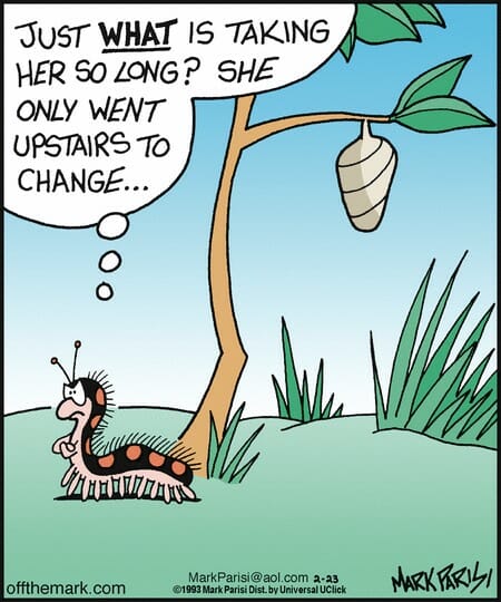 A caterpillar waiting under a tree thinking why the butterfly inside the cocoon is taking so long to emerge.