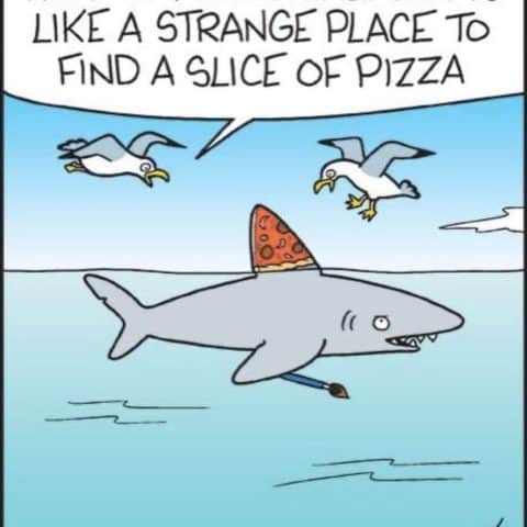Cartoon of a shark swimming in the ocean with a slice of pizza as its dorsal fin and holding a paintbrush. Two seagulls are flying nearby, one saying to the other that it seems like a strange place to find a slice of pizza.