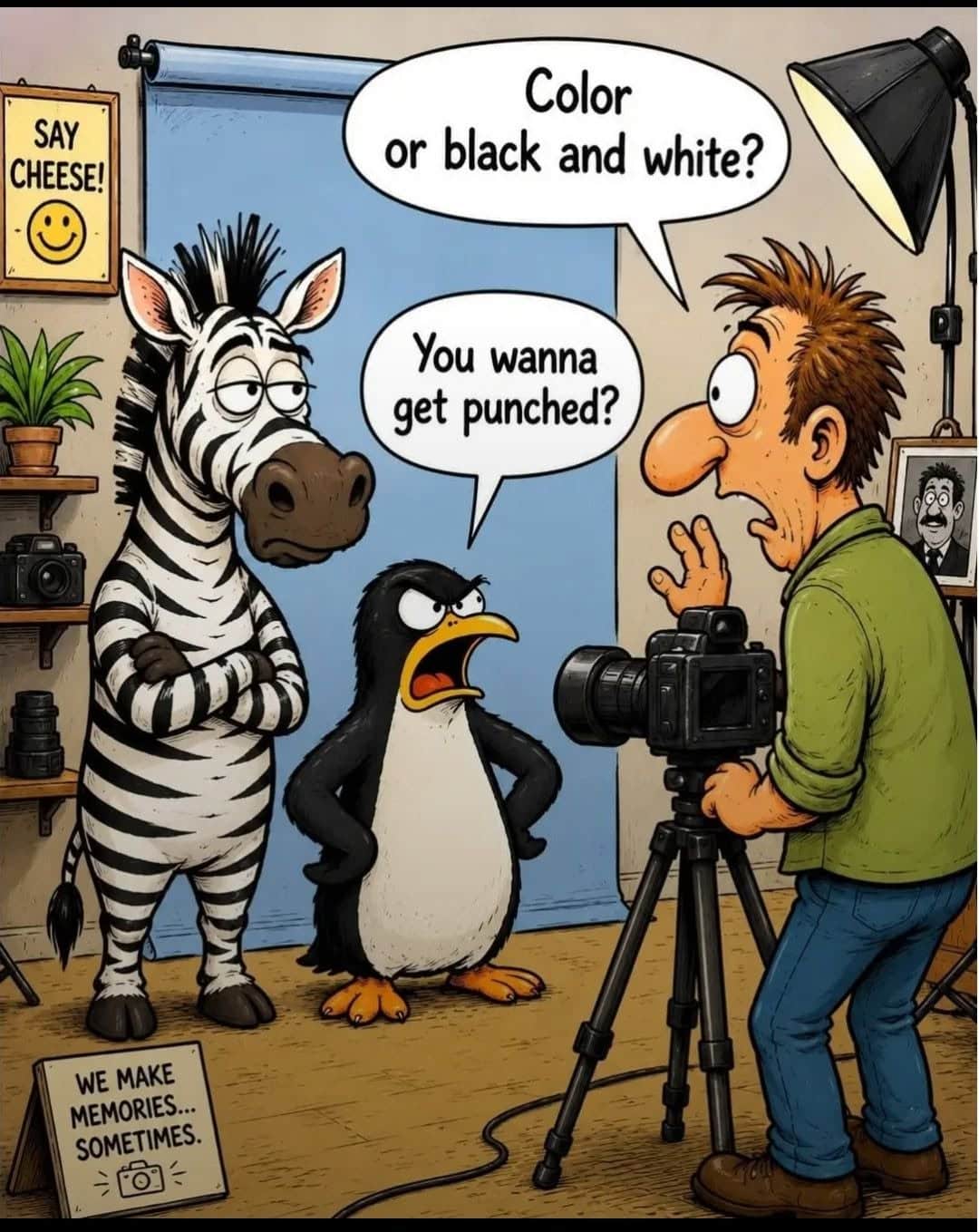 A cartoon scene shows an annoyed penguin and a zebra in a photoshoot setting. The photographer asks if they want the photo in color or black and white. The penguin angrily replies, 'You wanna get punched?'
