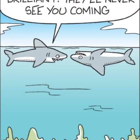 Two sharks underwater, one telling the other that no one will see them coming, as a form of camouflage.