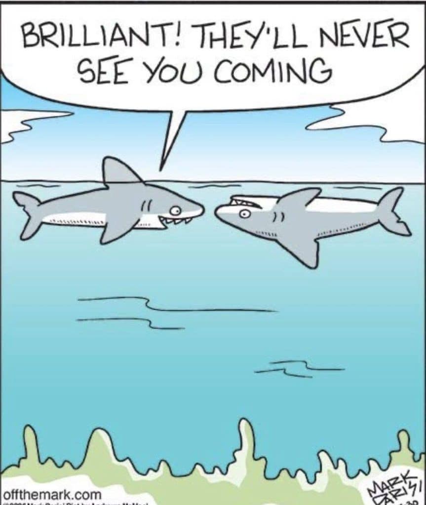 Two sharks underwater, one telling the other that no one will see them coming, as a form of camouflage.