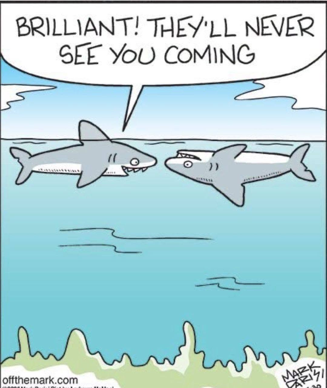 Two sharks underwater, one telling the other that no one will see them coming, as a form of camouflage.