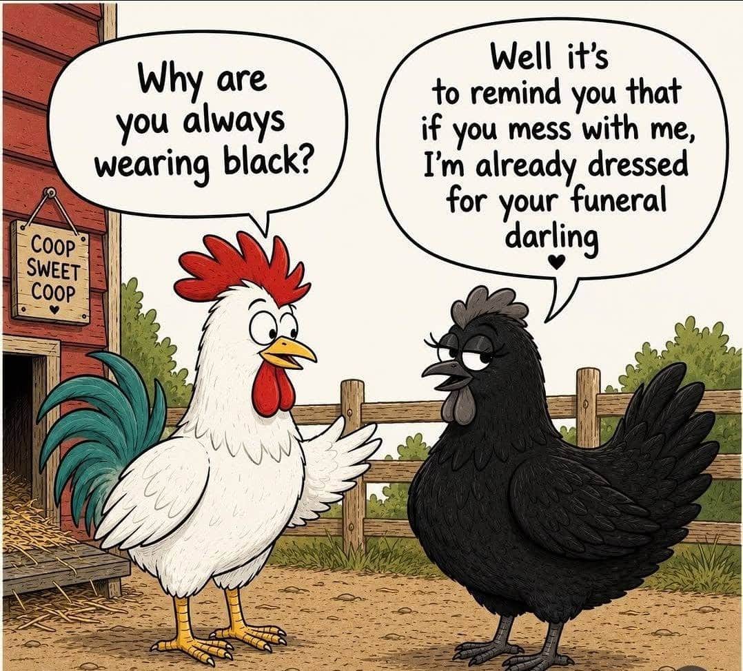 A white rooster asks a black hen why she always wears black near a wooden coop with a sign saying 'Coop Sweet Coop'. The black hen responds that she dresses for the rooster's funeral if he messes with her.