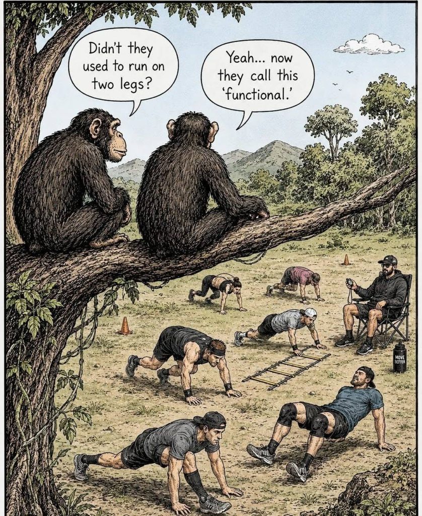 Two monkeys sitting on a tree branch overlooking a group of humans doing bear crawls and other exercises in an outdoor training session.
