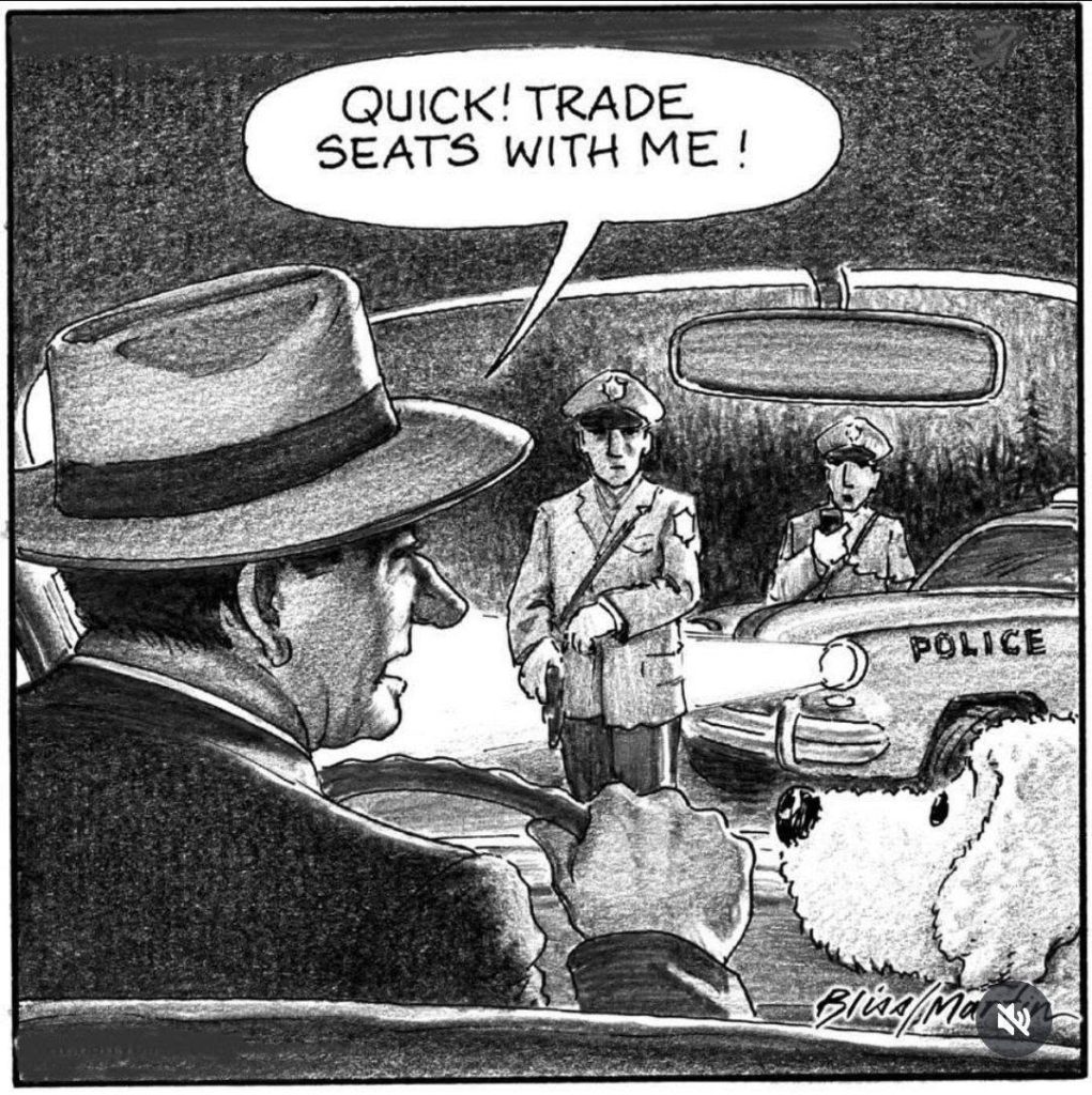 Man in hat driving a car with a dog in passenger seat, police officers outside with flashlight, man asking dog to trade seats quickly.
