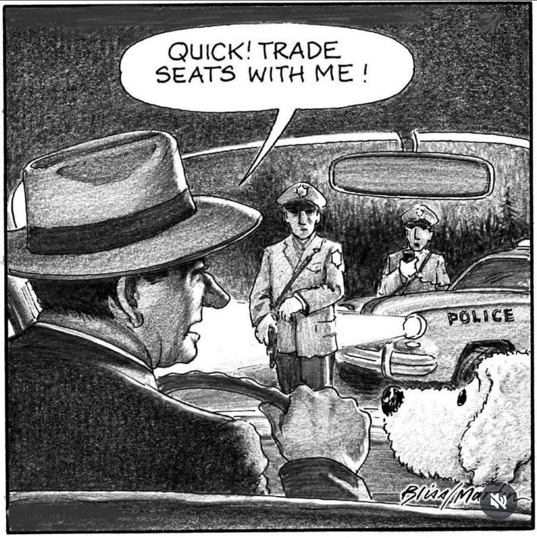 Man in hat driving a car with a dog in passenger seat, police officers outside with flashlight, man asking dog to trade seats quickly.