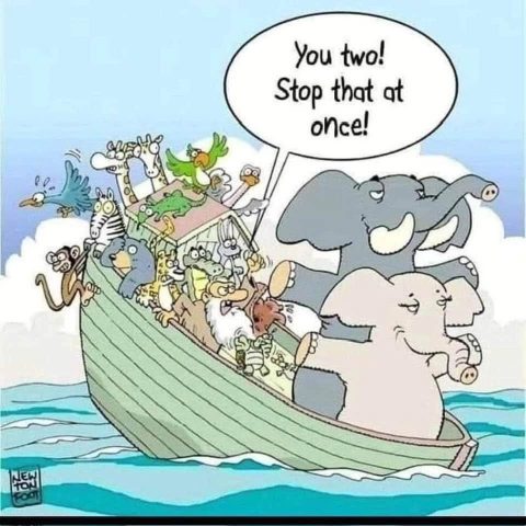 Animated crowded boat with many animals packed inside, two elephants at the front pushing and one yelling to stop.